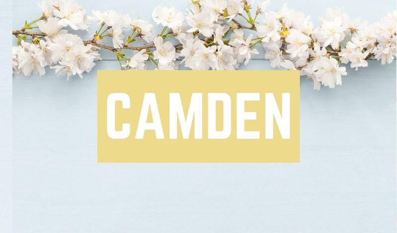 Beautiful Baby Girl C Names: Camden