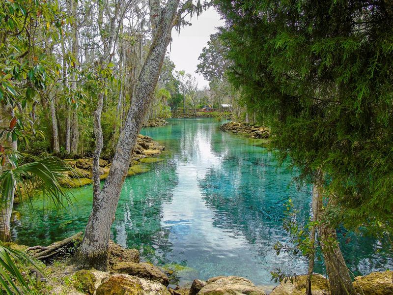 Beautiful Three Sisters Springs in Crystal River, Florida
