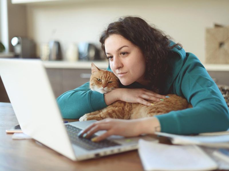 Beautiful young woman working at home( with cat)