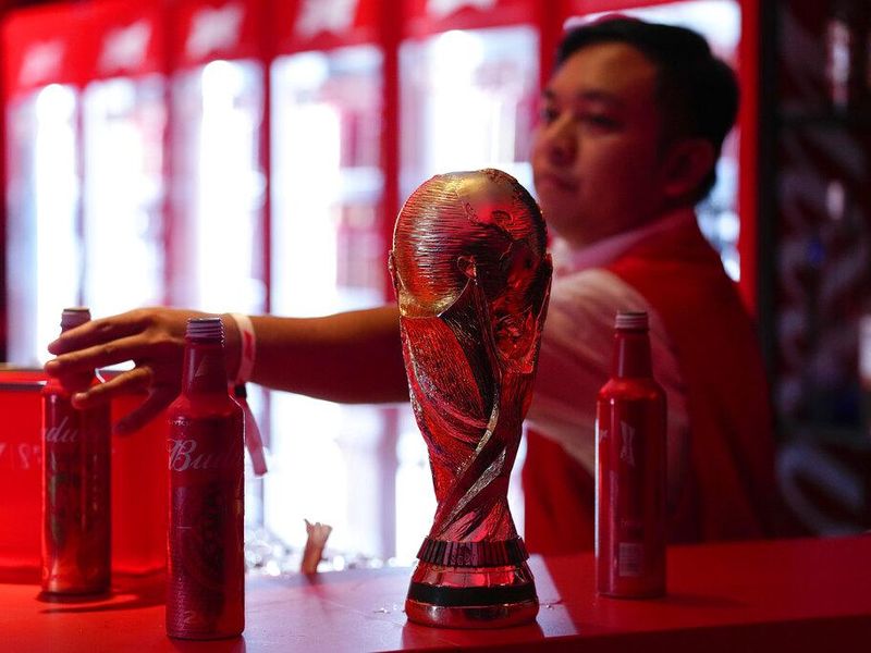 Beer at the 2022 World Cup