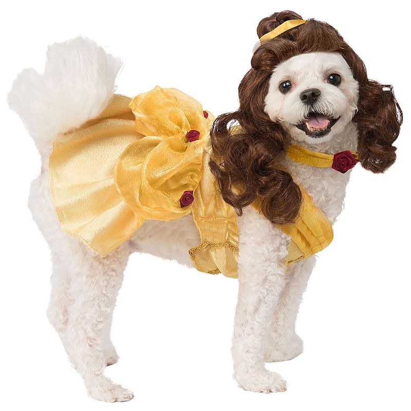 belle dog costume