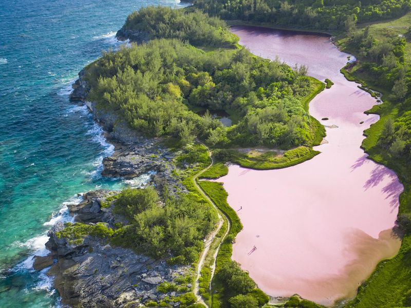 Bermuda pink lake