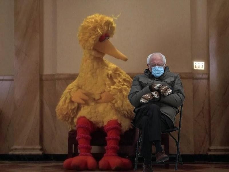 Bernie Sanders and Big Bird