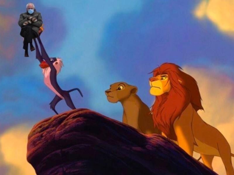 Bernie Sanders in The Lion King