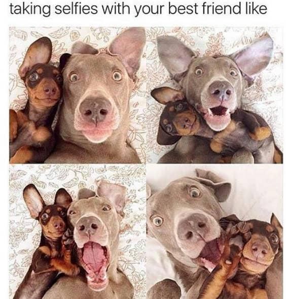 best friend selfies