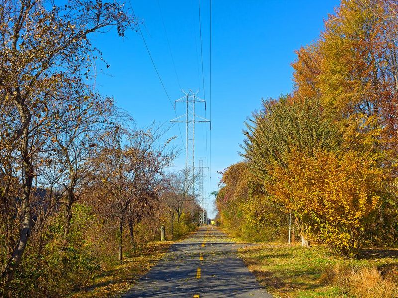 Bike trail during late autumn in Falls Church, Virginia, USA.