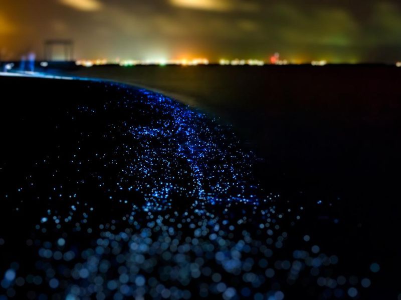 Bio luminescence. Illumination of plankton at Maldives.