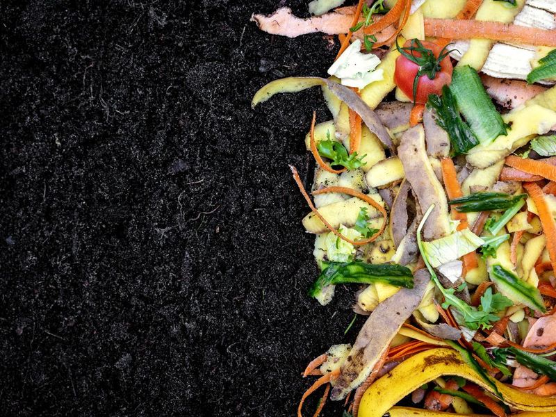biodegradable kitchen waste on soil.