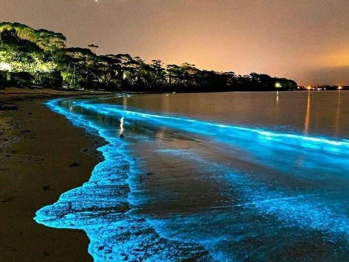 Bioluminescence at Mosquito Bay, Puerto Rico