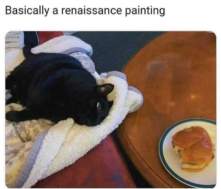 Black cat gazing at a cheeseburger