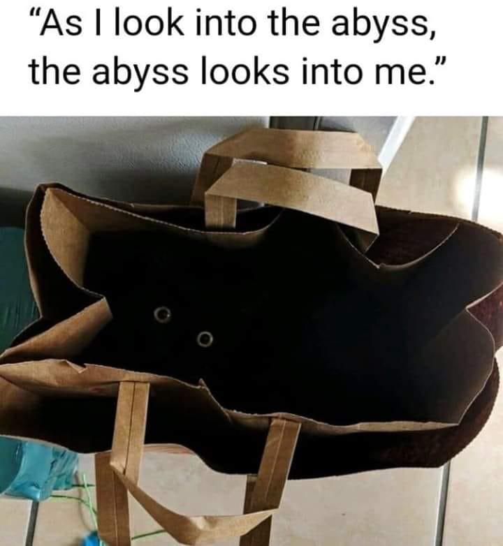 Black cat in a bag