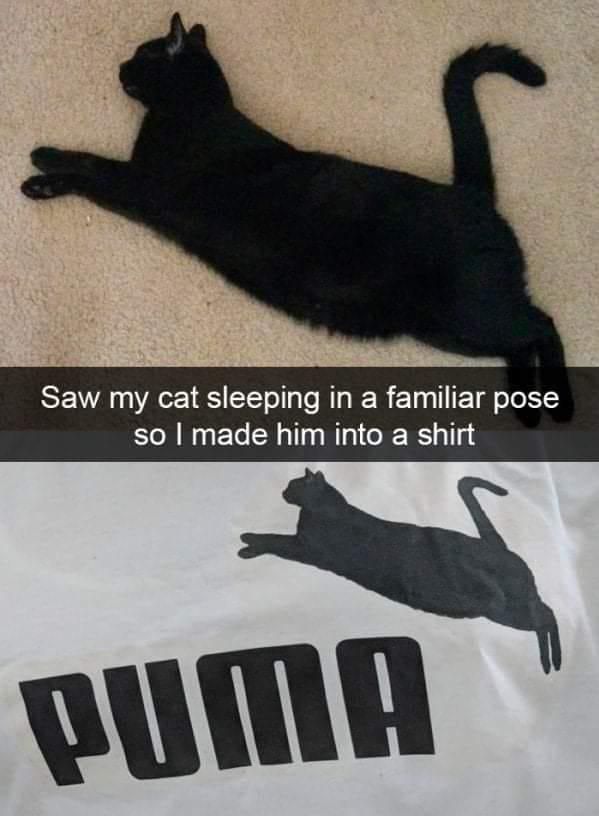 Black cat posing like the Puma logo