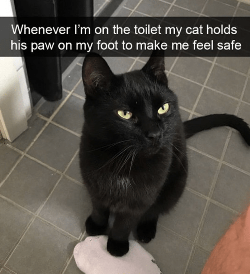 Black cat who likes to hold owner's foot in the bathroom