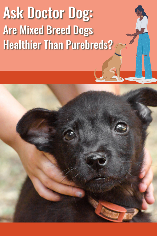 are mixed breed dogs healthier than purebred dogs