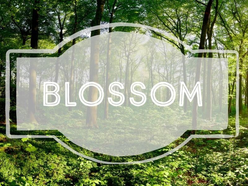 Blossom nature-inspired baby name