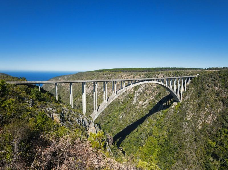 Bloukrans Bridge Bungy in South Africa