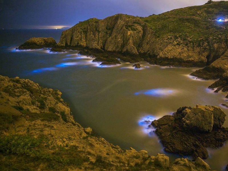 Blue Tears bioluminescence in Taiwan