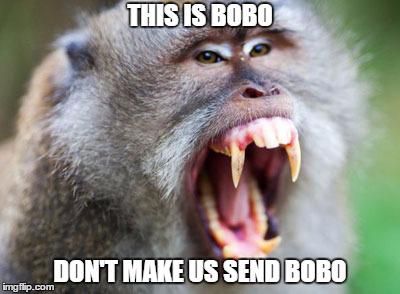 Bobo the Monkey Meme