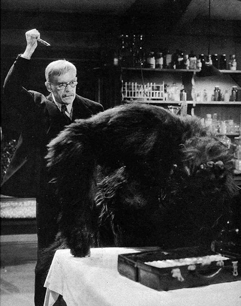 Boris Karloff in "The Ape"