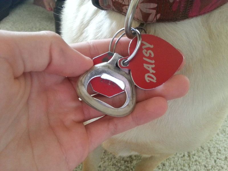 Bottle opener on dog collar