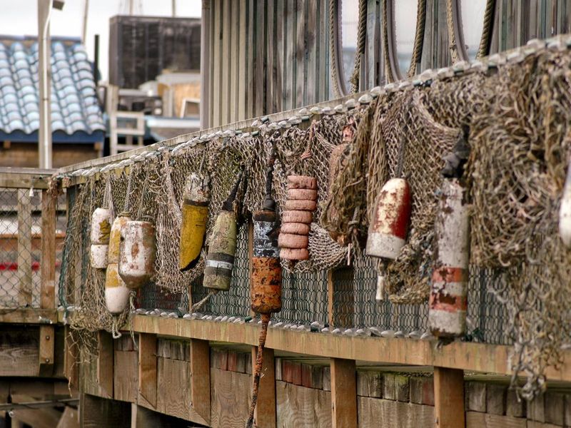 Bouys and netting in Astoria