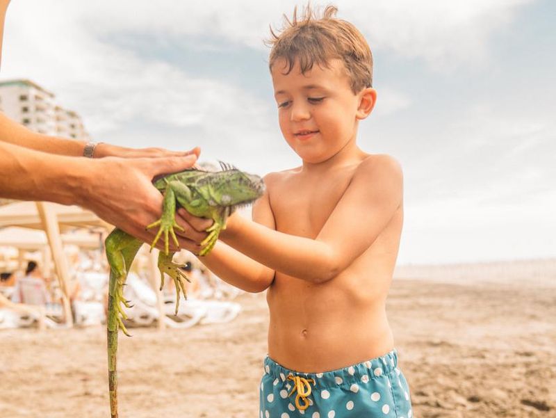Boy holding a iguana at the beach