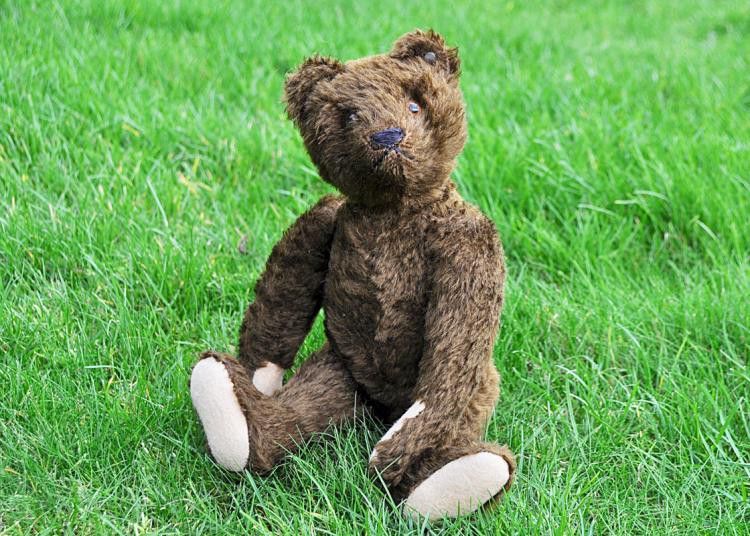 Bruin Steiff Teddy Bear