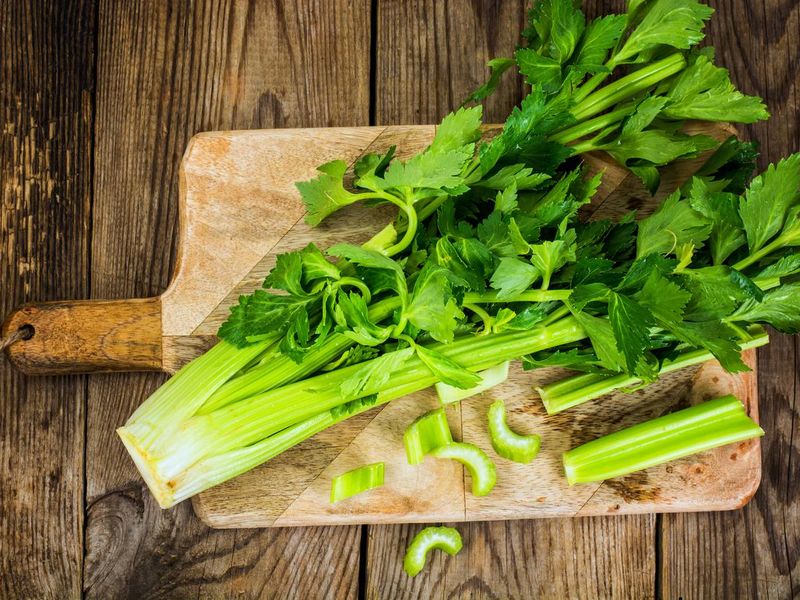 Bunch of fresh celery stalk with leaves