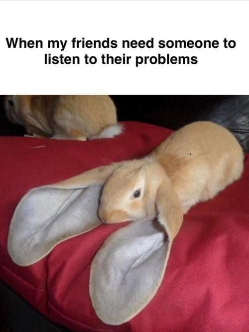 Bunny with giant ears