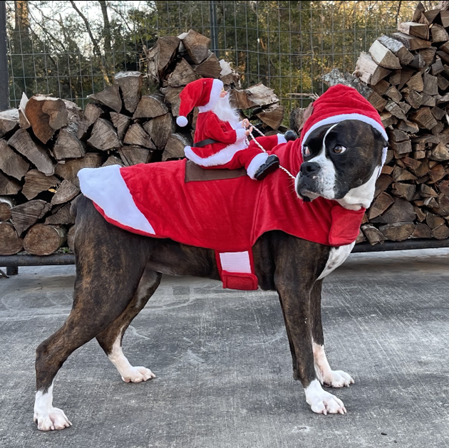 BWOGUE Santa Dog Costume