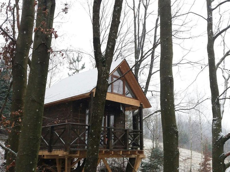 Cabin in the woods in Ukraine