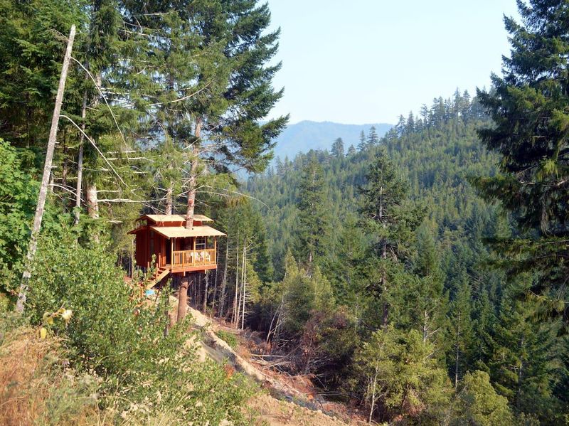 California tree house