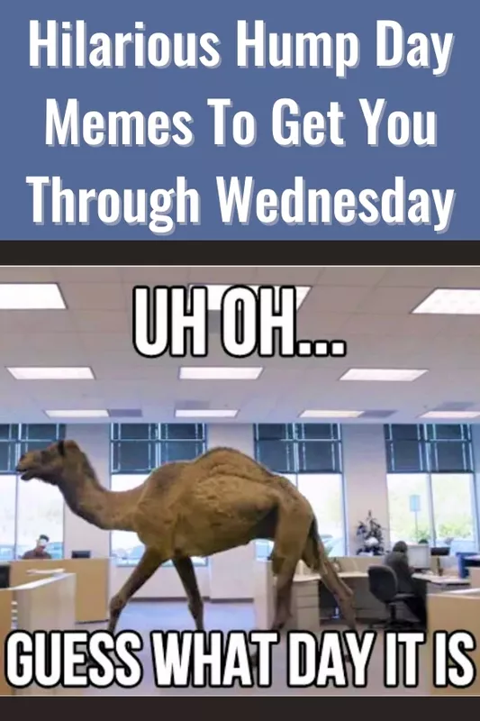 39 Funny Wednesday Memes to Get You Through Hump Day | Work + Money