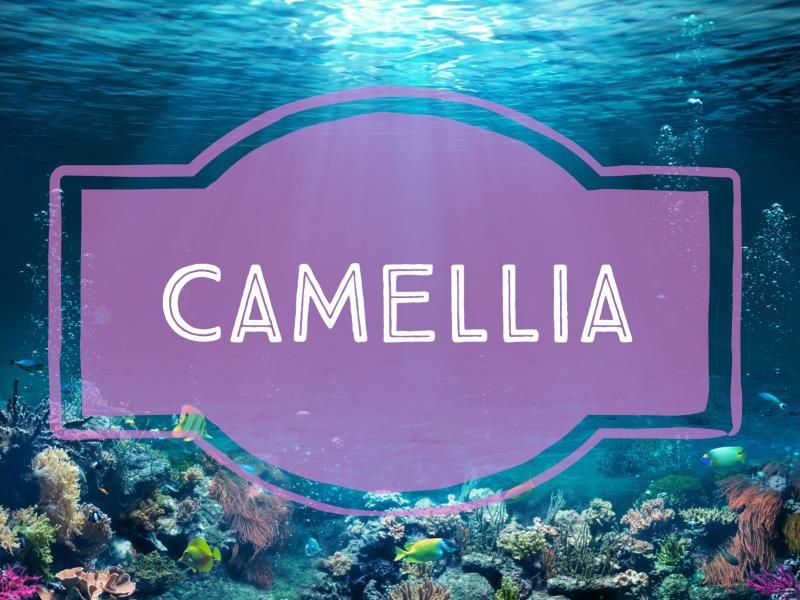 Camellia nature-inspired baby name
