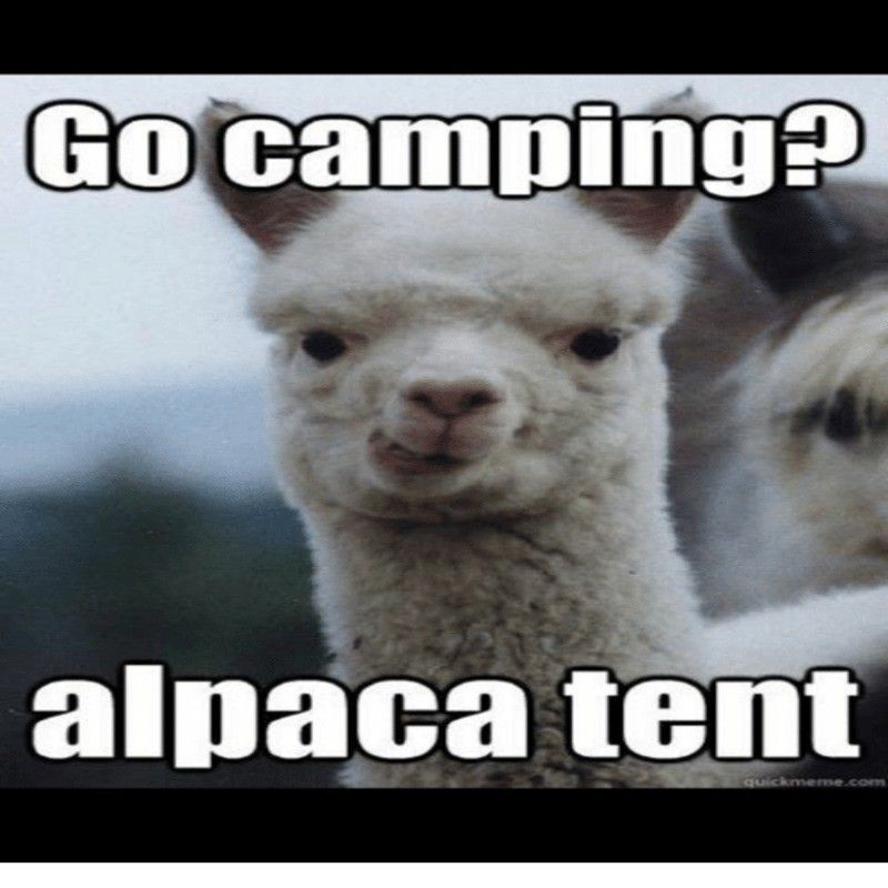 Camping pun meme
