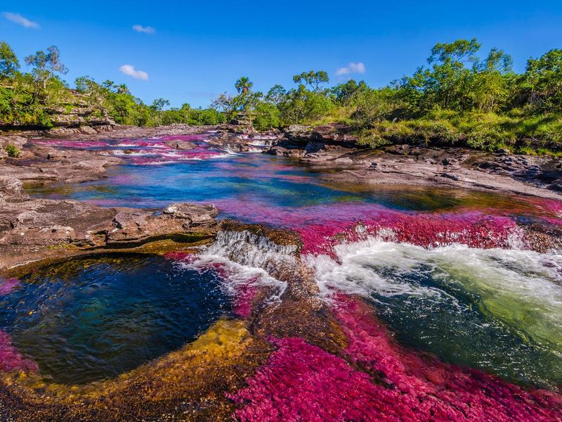 Caño Cristales in Colombia