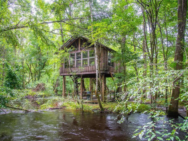 Carolina Edisto River Treehouses