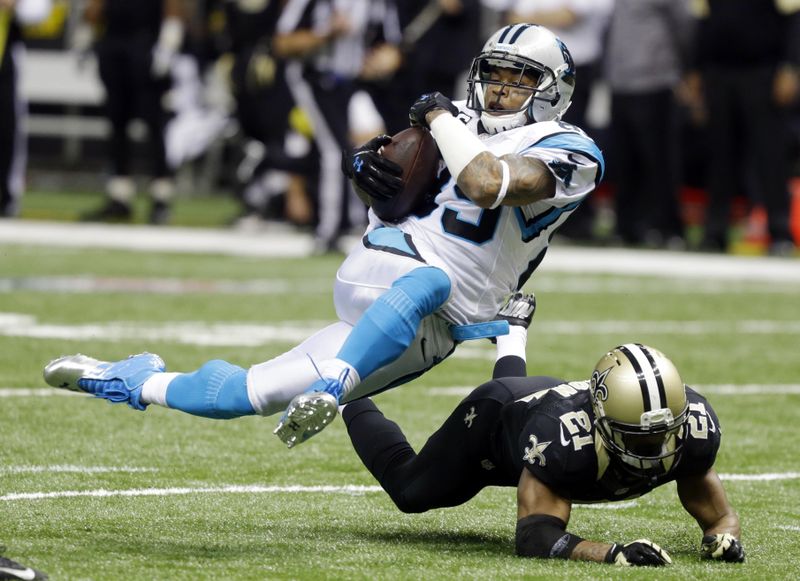Carolina Panthers wide receiver Steve Smith makes an acrobatic catch