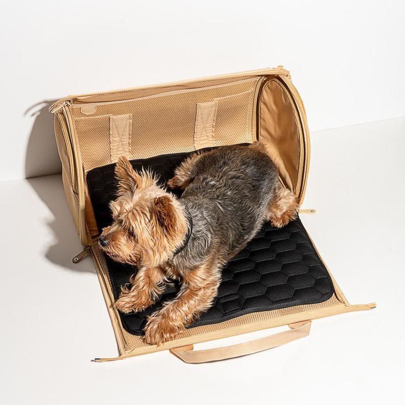 Carrier that turns into dog bed