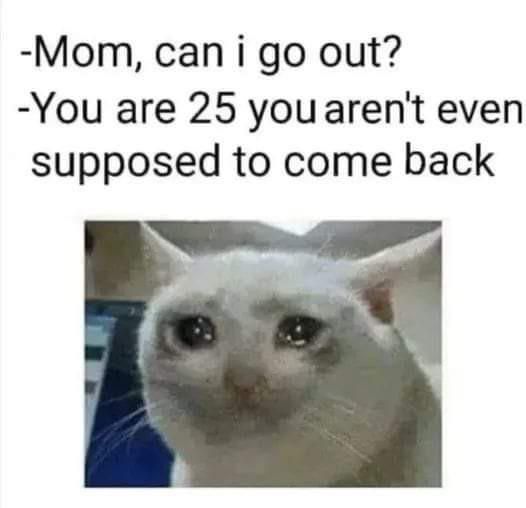 Cat going out when you're 25 meme