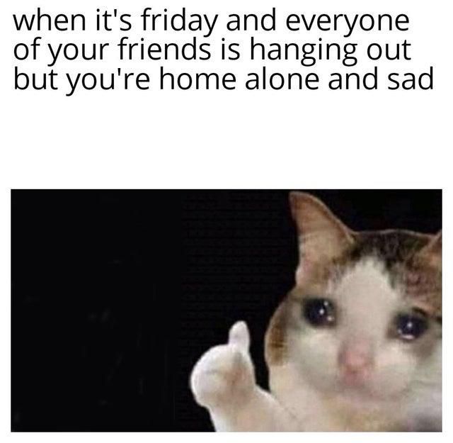Cat home alone and sad on a Friday