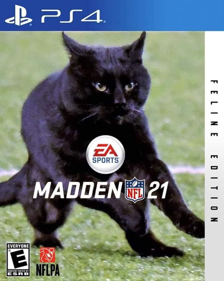 Cat in a Playstation game