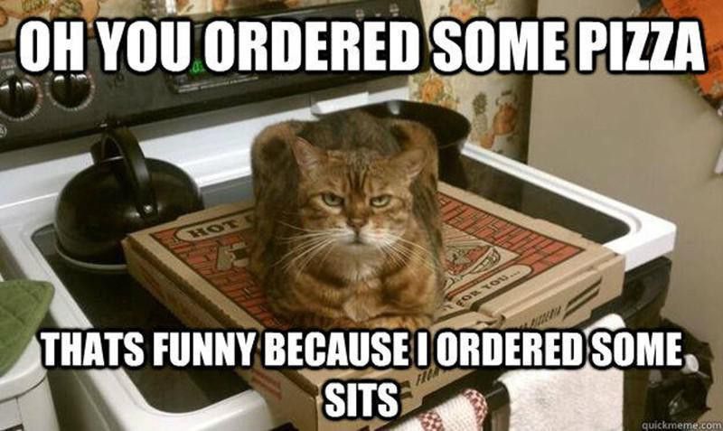 'Cat likes pizza' meme