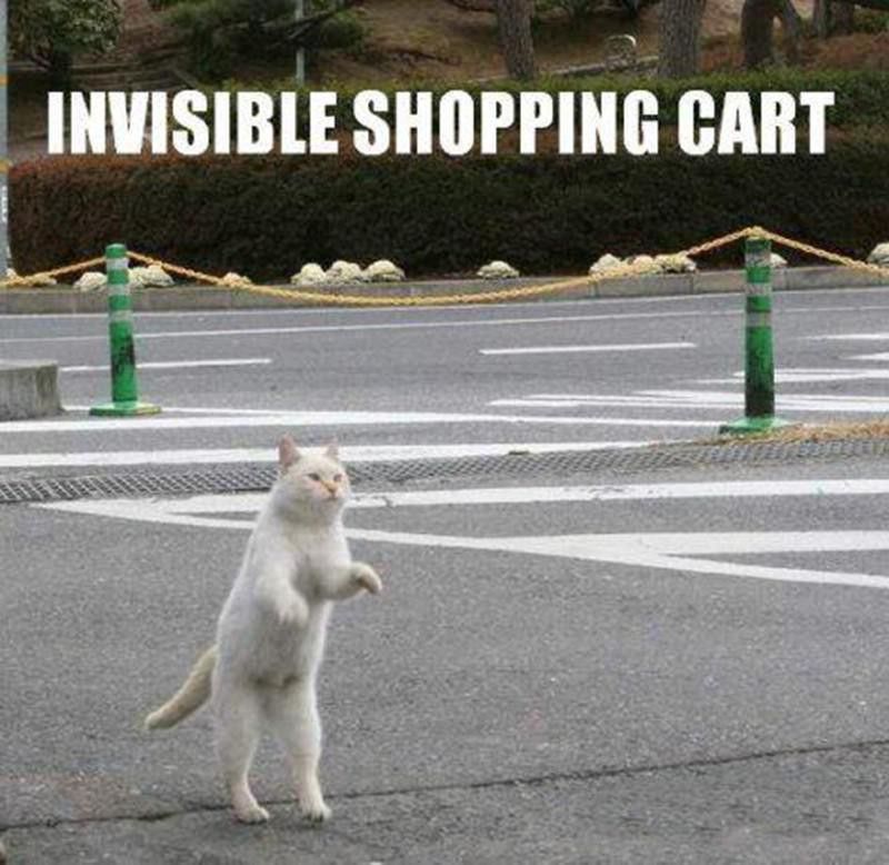 Cat pushing invisible shopping cart