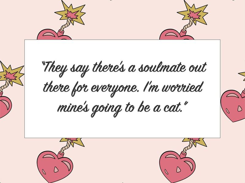 Cat soulmate quote
