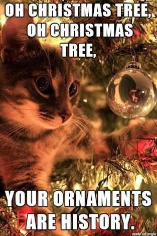 Cat staring at Christmas ornament meme