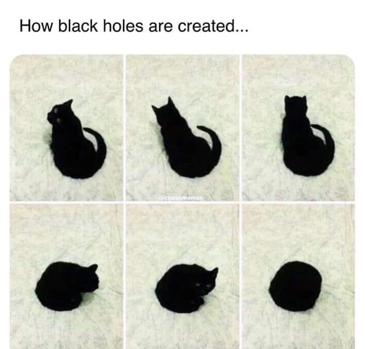 Cat that looks like a black hole