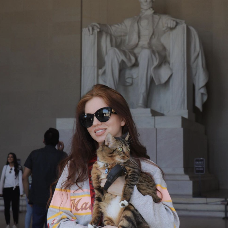 Cat visiting the Lincoln memorial