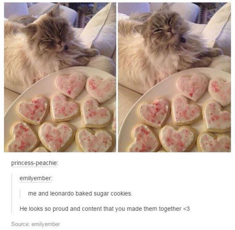 Cat with heart cookies