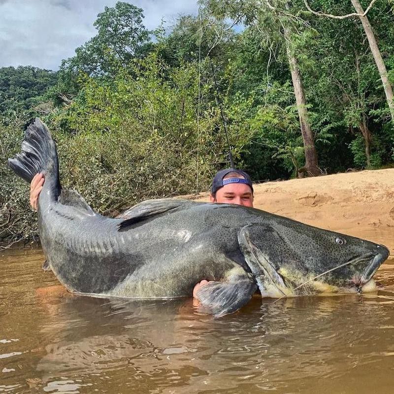 Catching a monster fish in Brazil